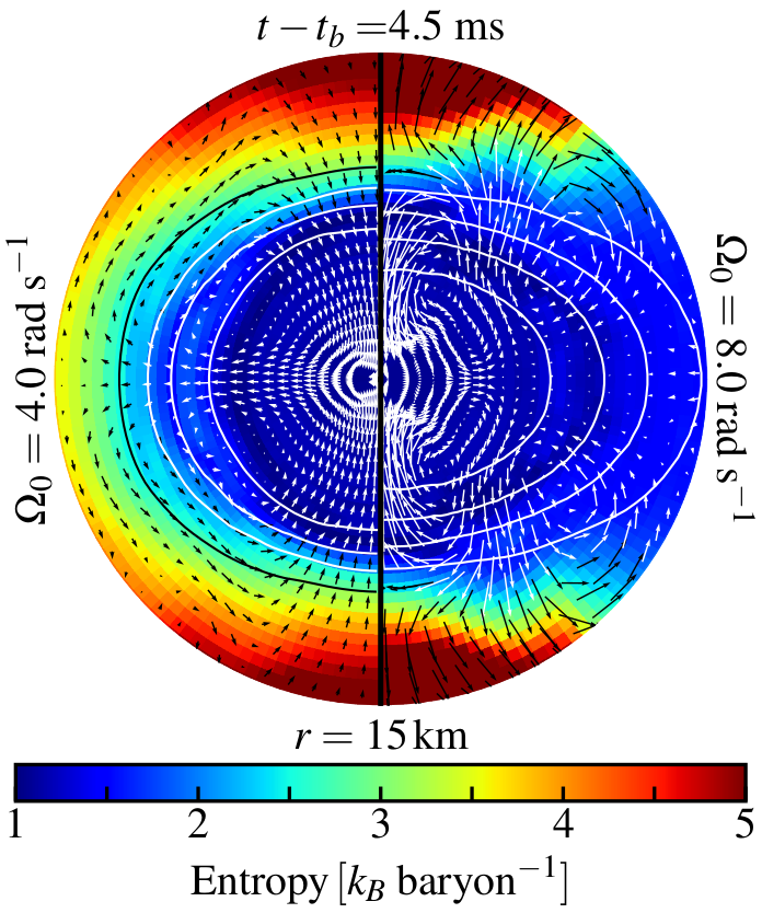 Rotation deforms the PNS and causes axisymmetric oscillations
